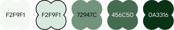 Color Scheme